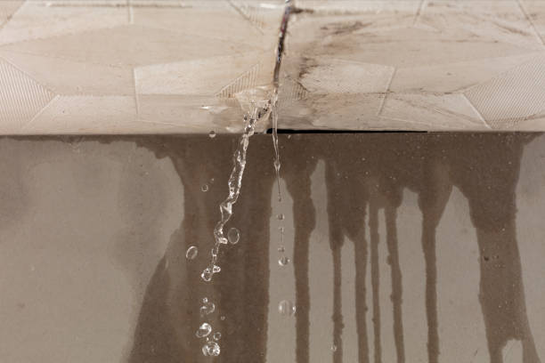 Professional Water Damage Repair technician working in Leaf River, IL
